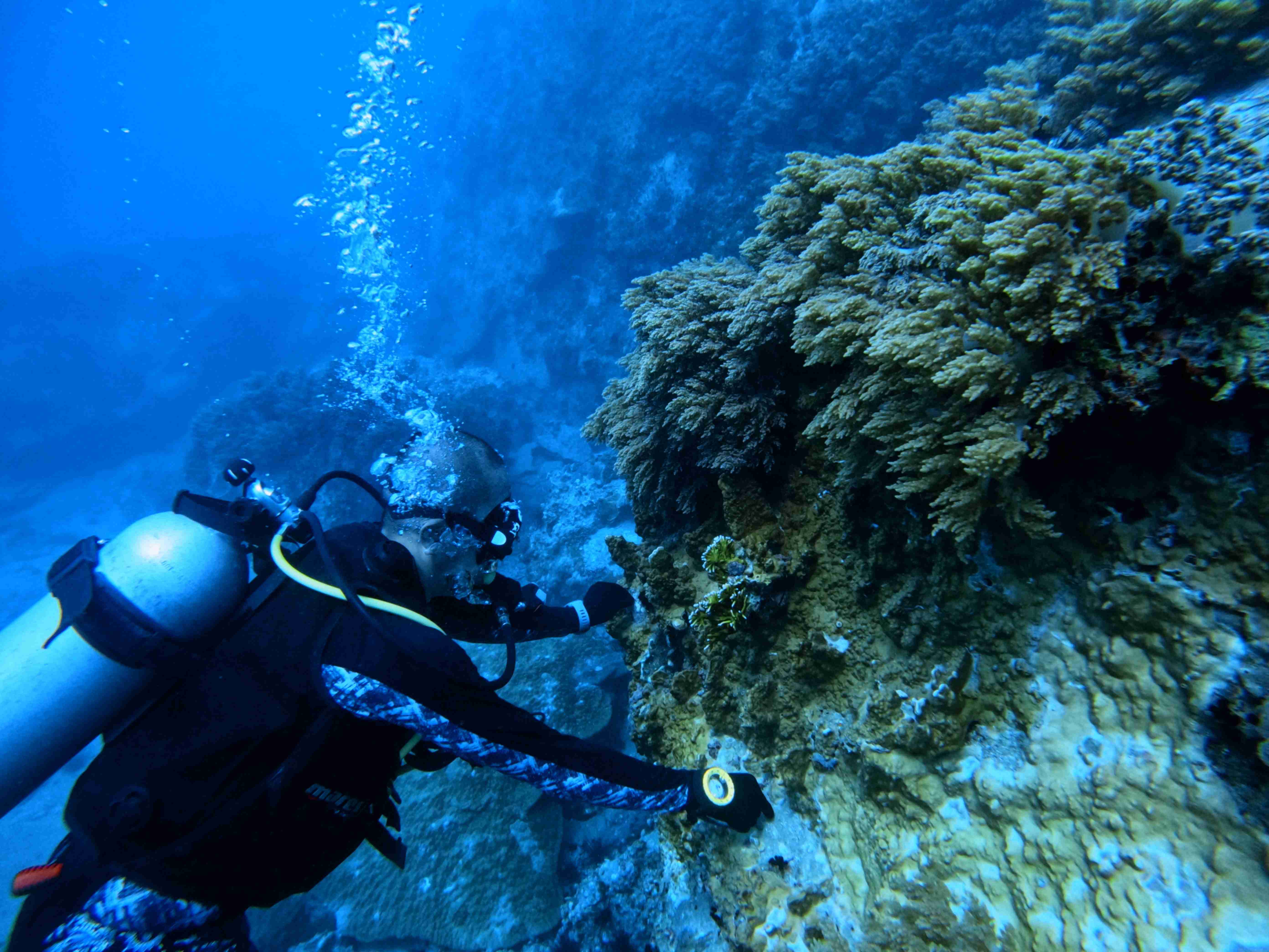PADI Night Diver Course