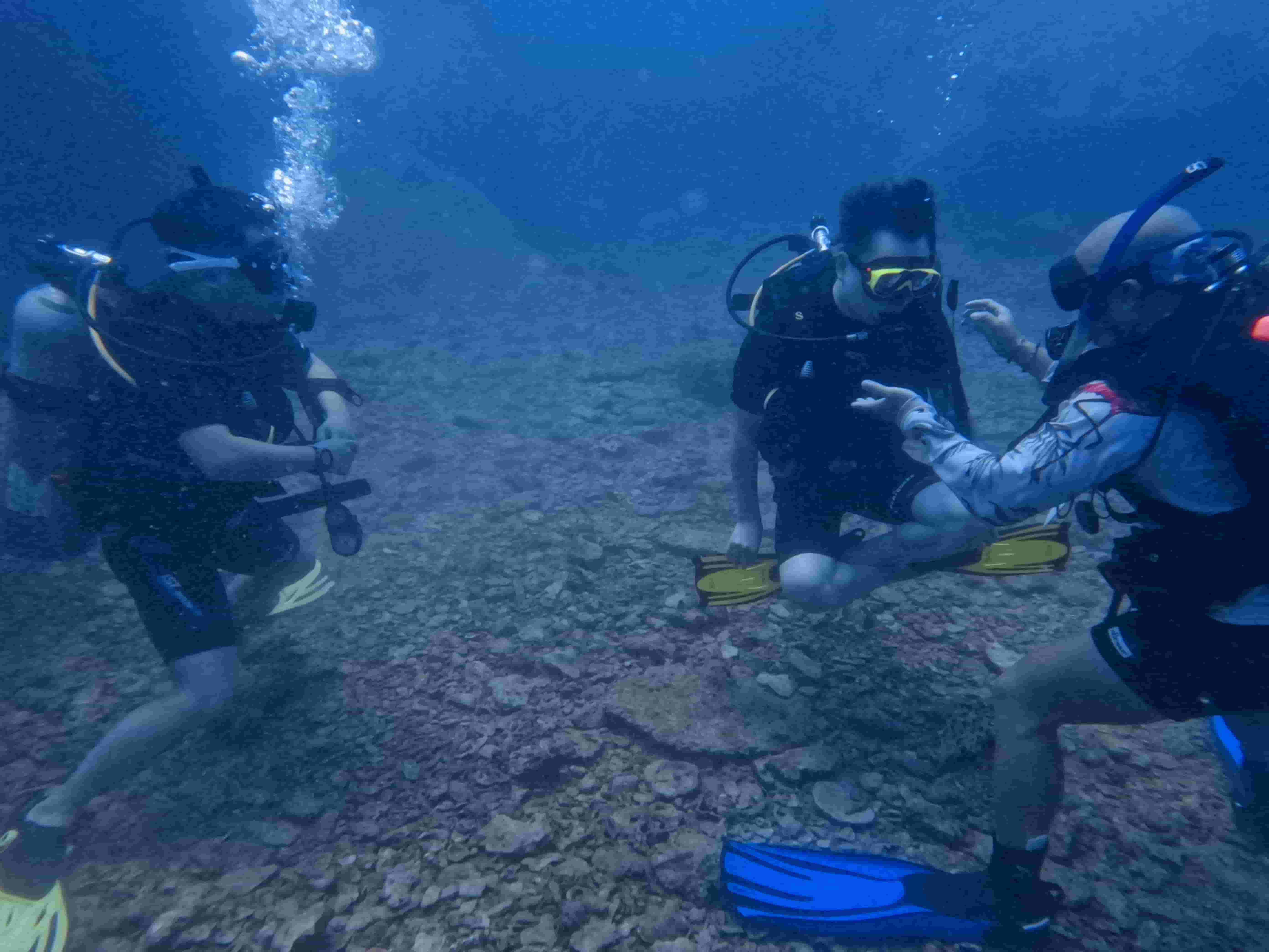 khoa-padi-rescue-diver-khoa-lan-cuu-ho
