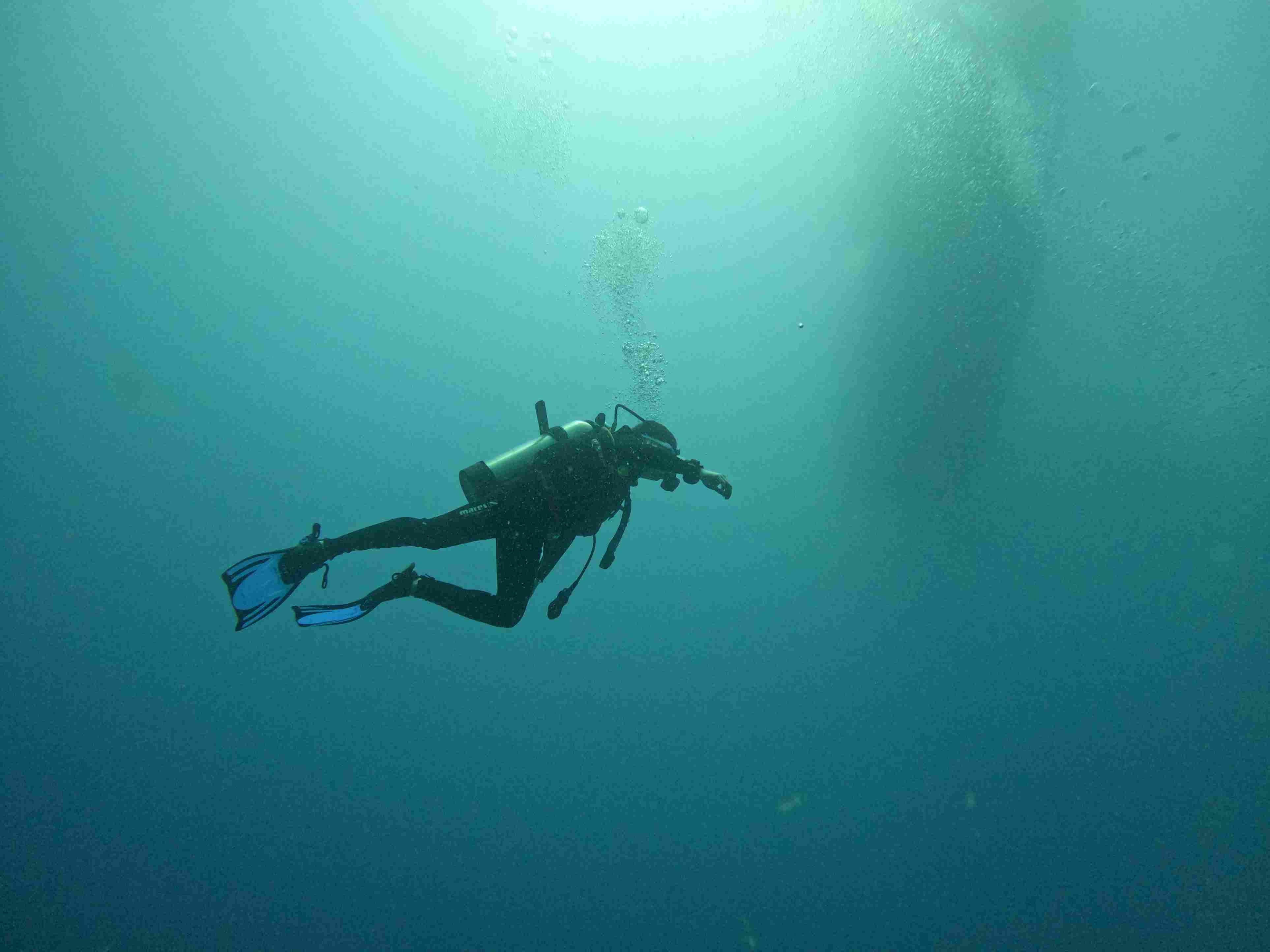 padi-elearning