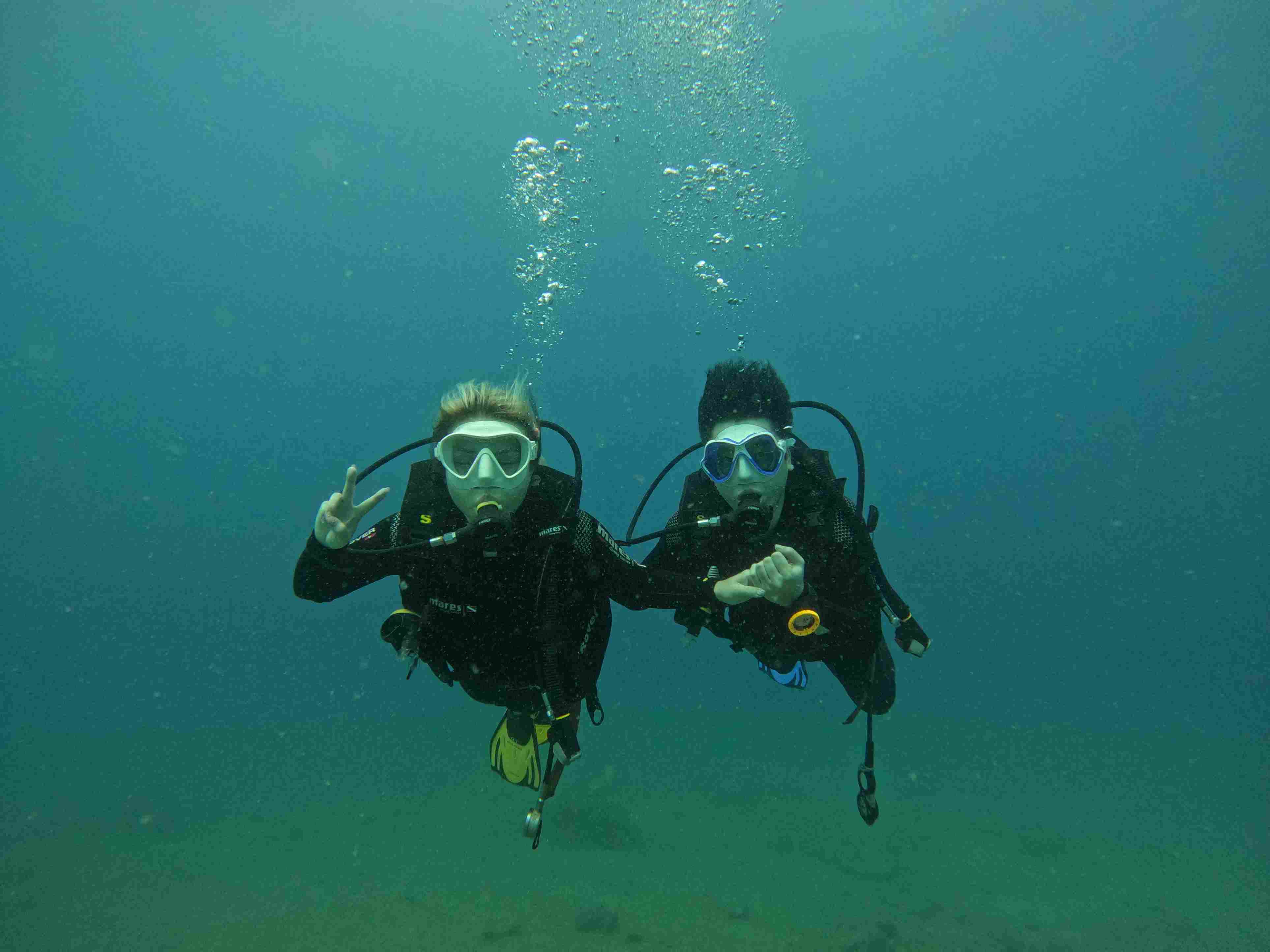 padi-elearning
