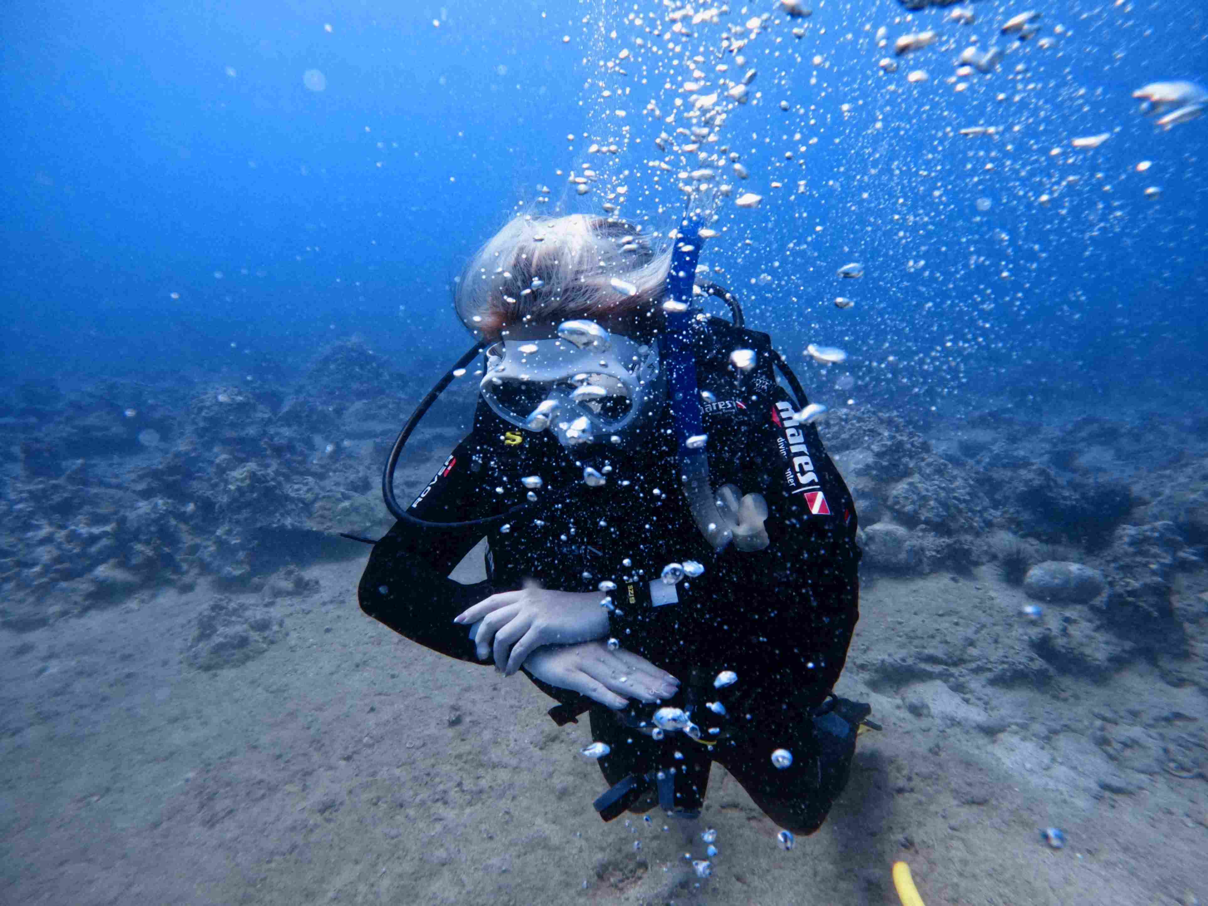 padi-elearning 