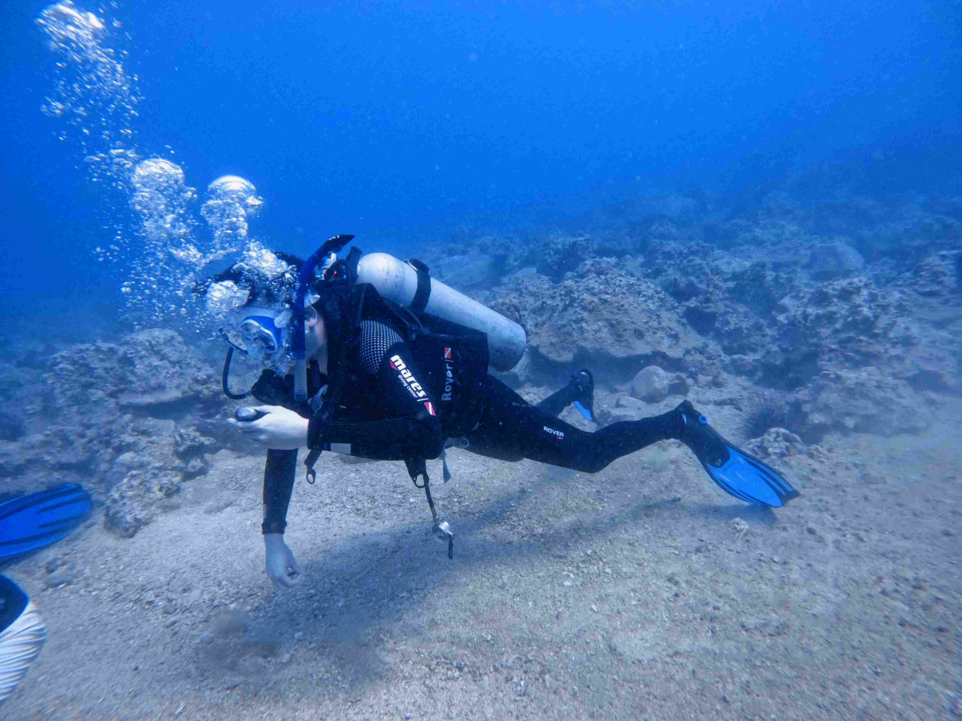 padi-elearning