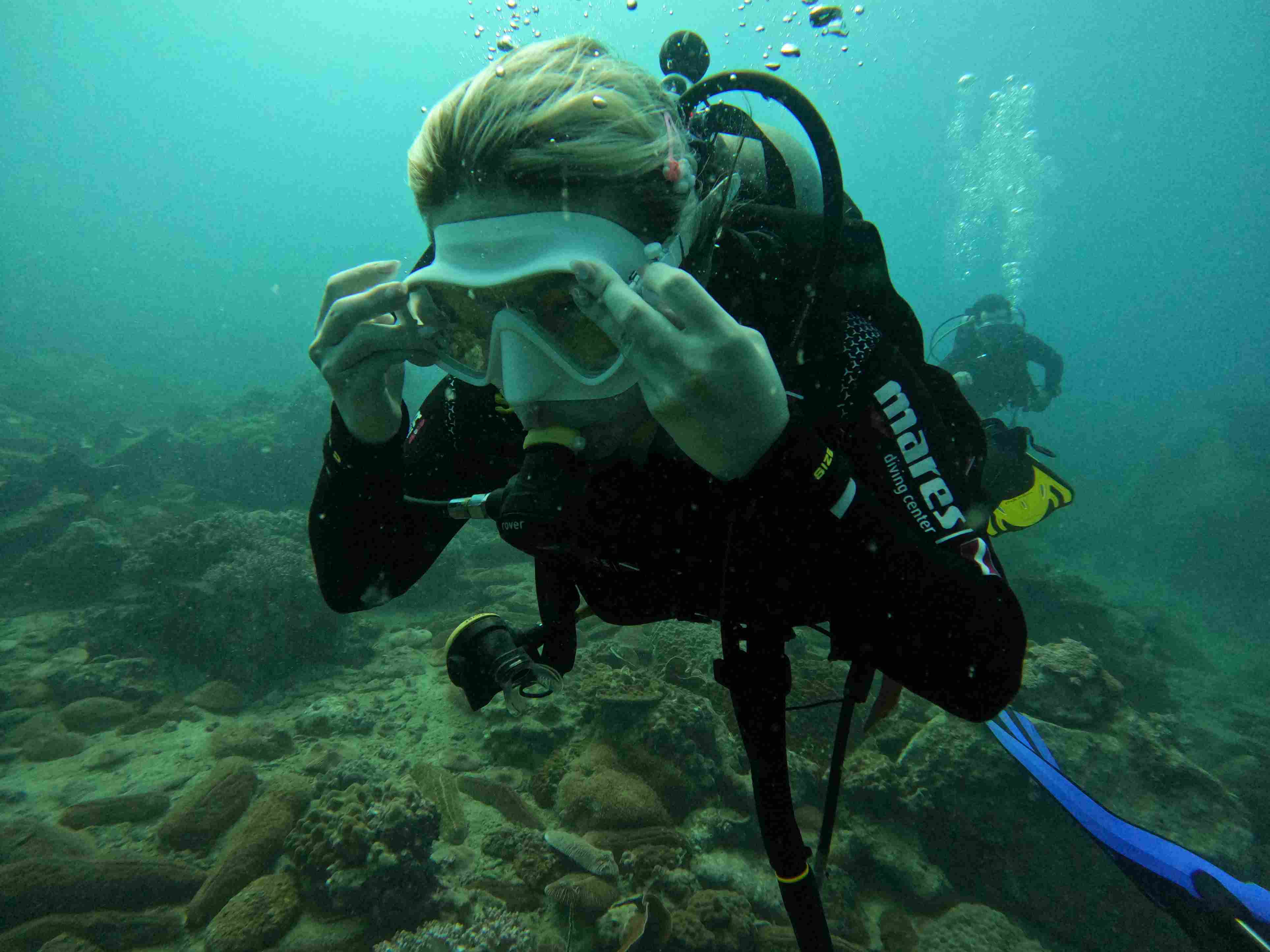 padi-elearning