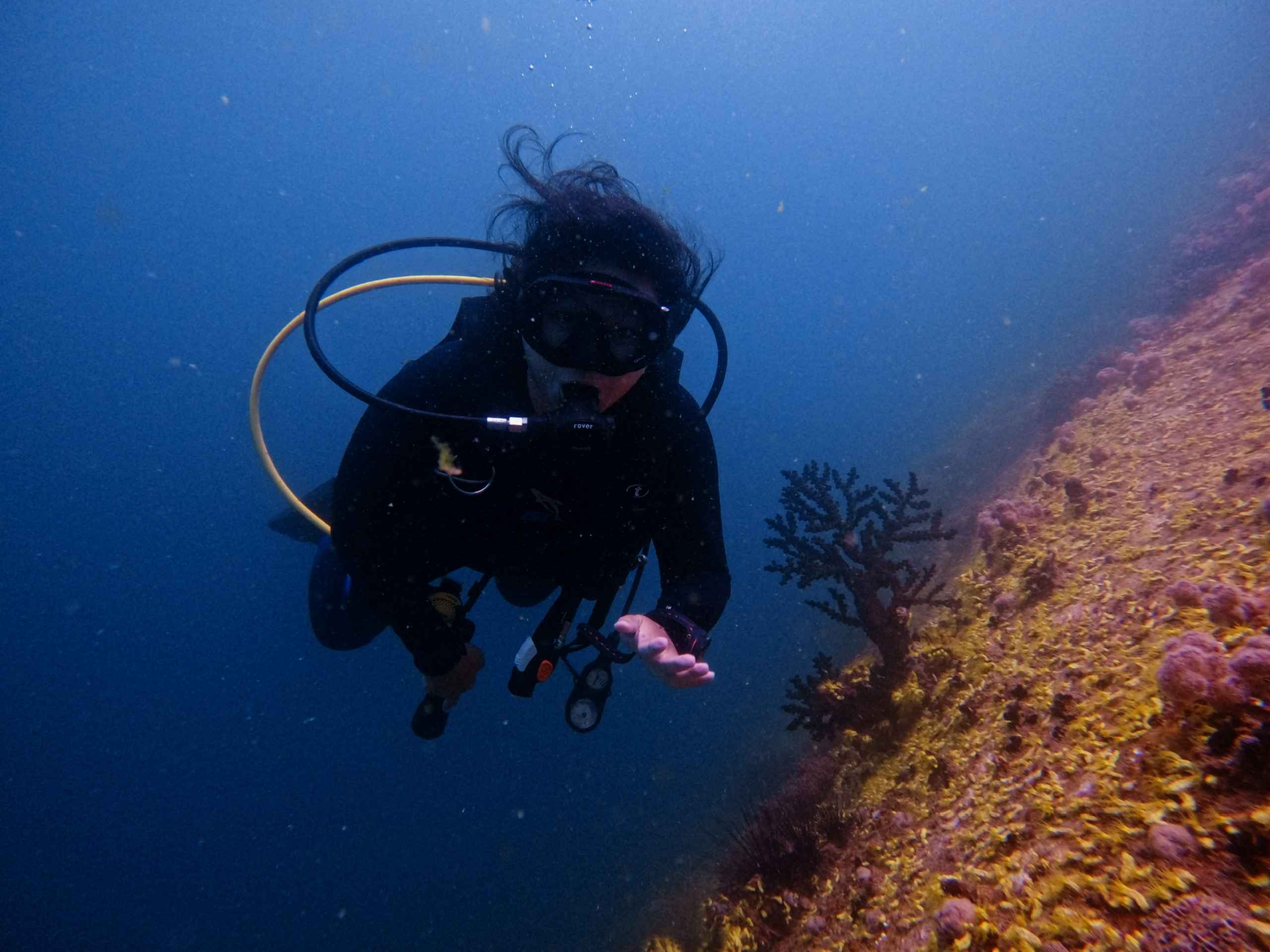 fun-diving-van-phong