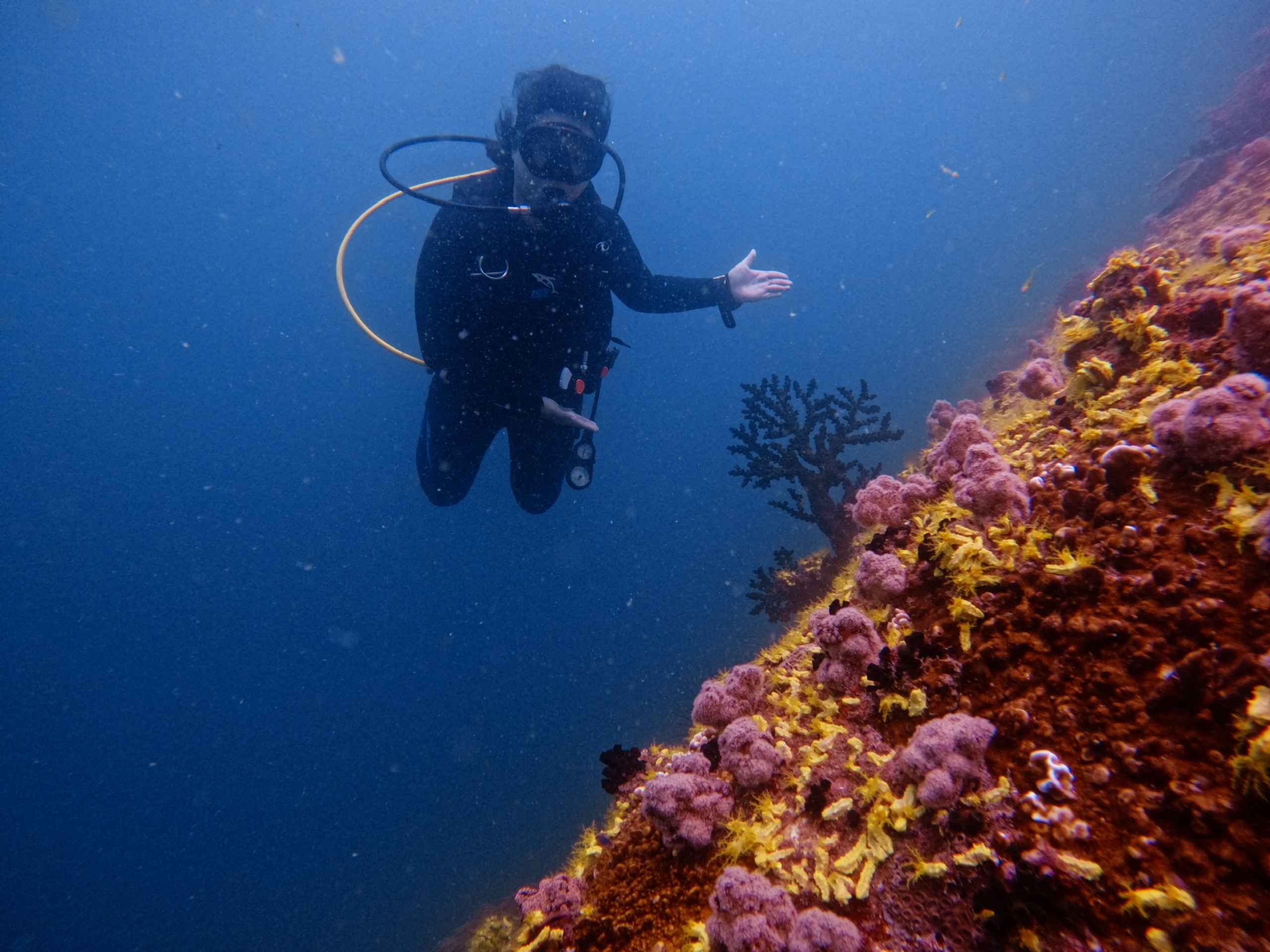 fun-diving-van-phong